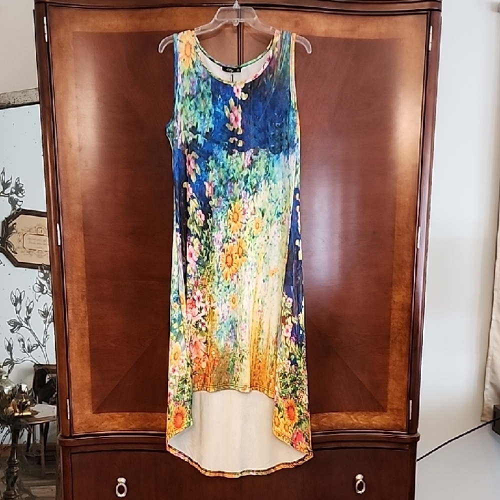 Floral Sleeveless Dress - Multicolor, Hi/Lo Hem, Size M